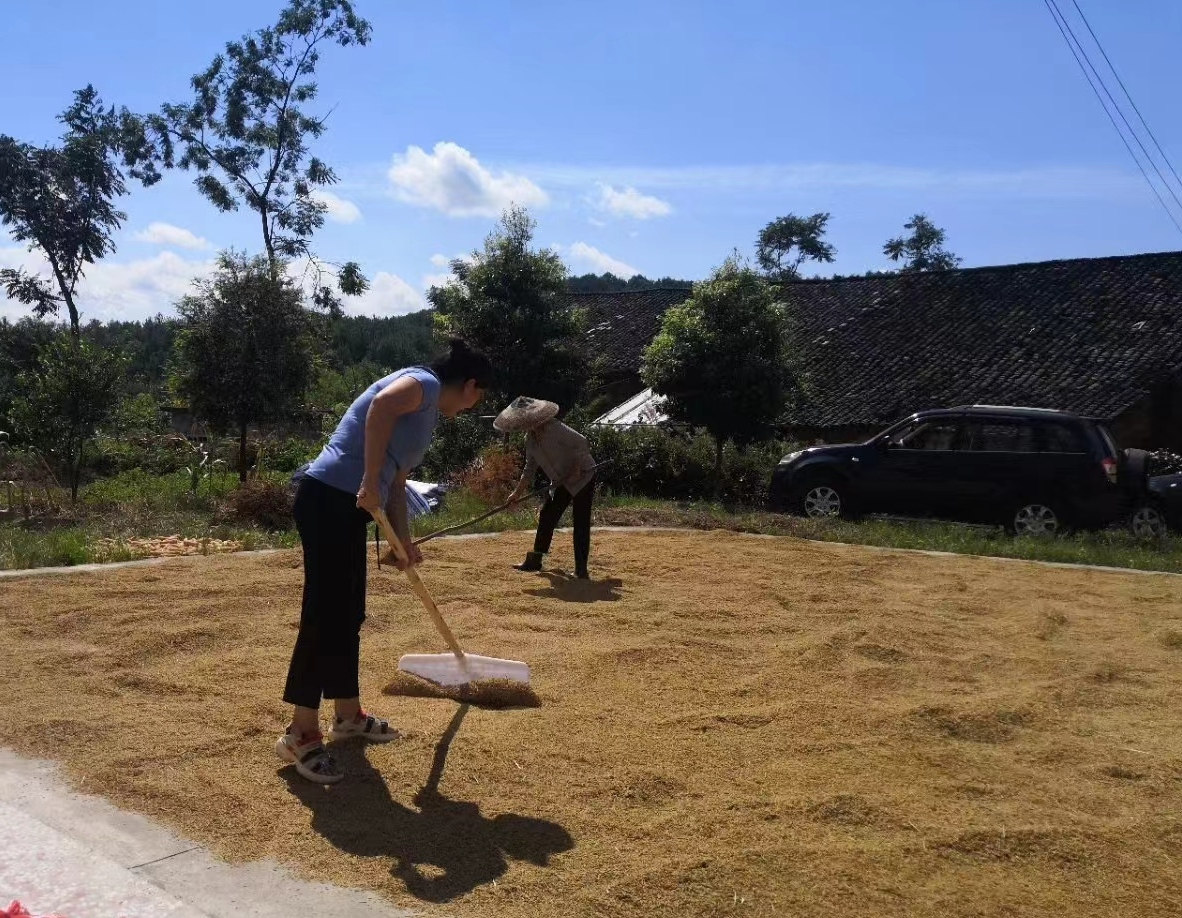 放飛青春夢想 助力鄉(xiāng)村振興