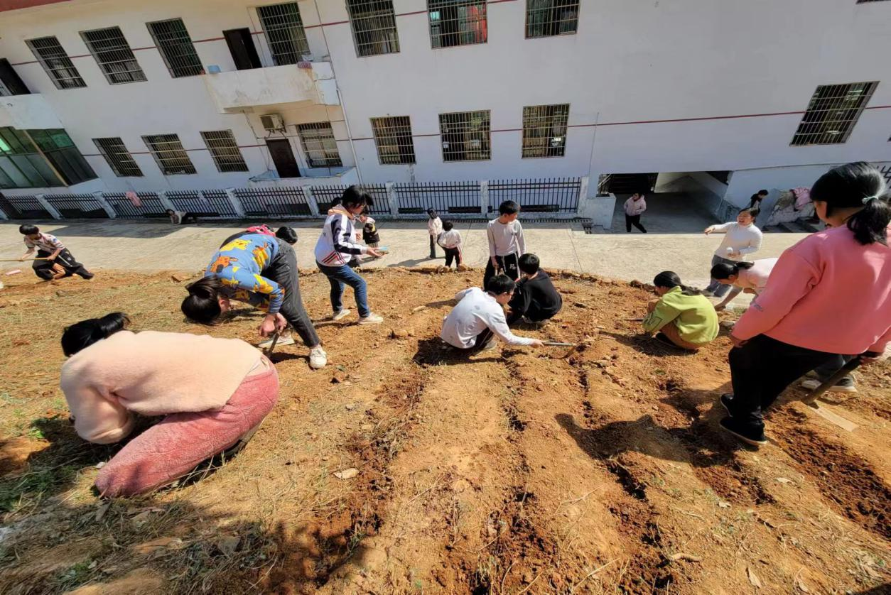 綠化三青，學(xué)做樹人