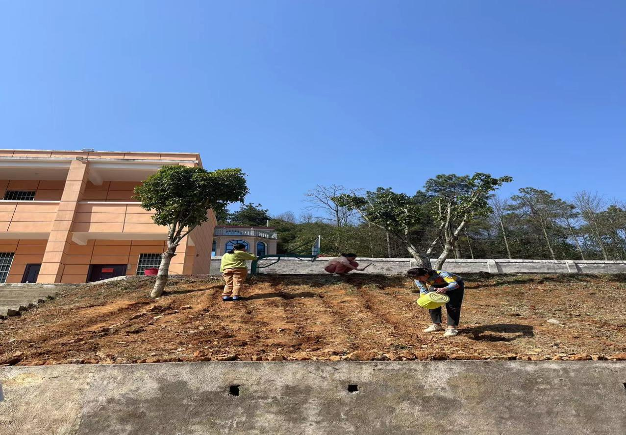 綠化三青，學(xué)做樹人