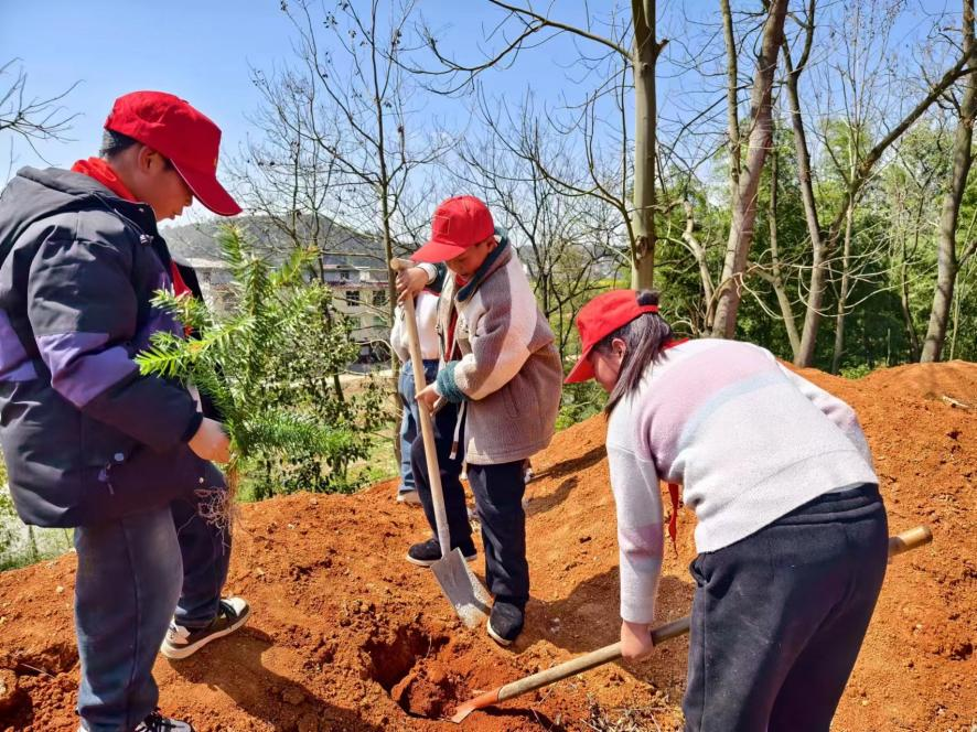 爭(zhēng)做小雷鋒，植樹迎春風(fēng)