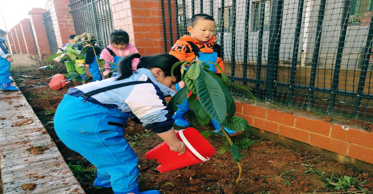 植一抹綠色，溢一片春光