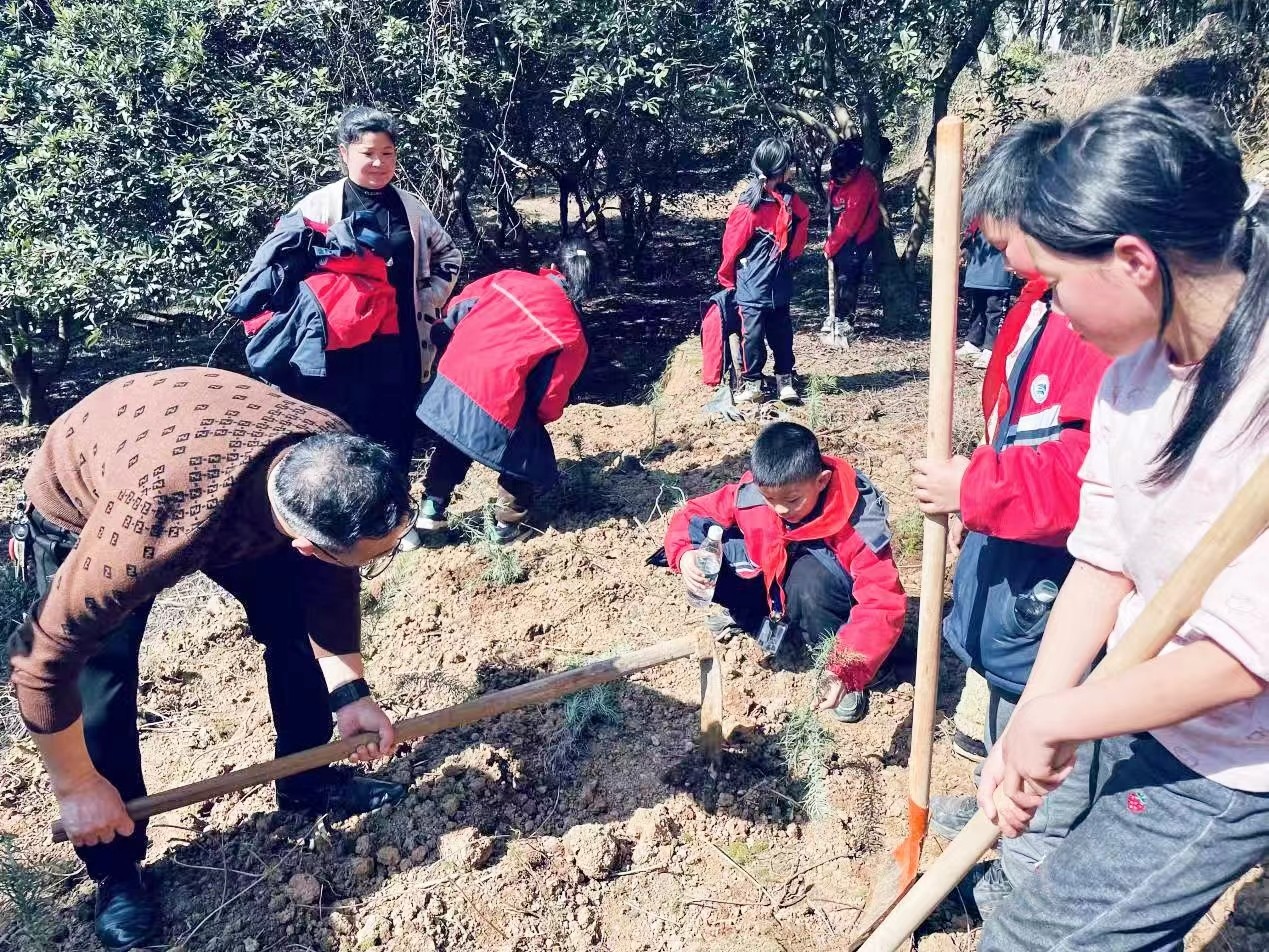 共植共青林，共筑青春夢(mèng)