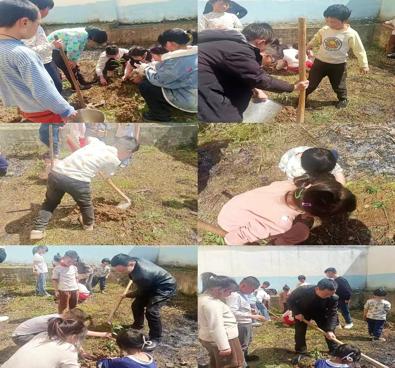 “孟春之月，盛德在木”