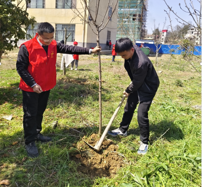 “共筑綠色校園夢(mèng)”