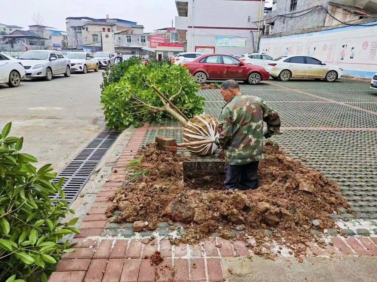 “共筑綠色校園夢(mèng)”