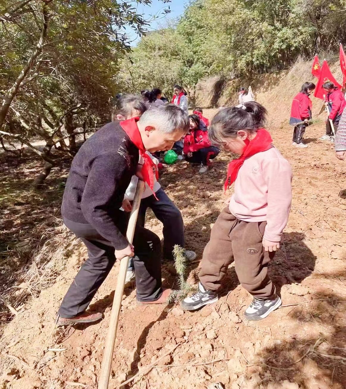 黨員隊(duì)員共攜手 ，植樹增綠美環(huán)境
