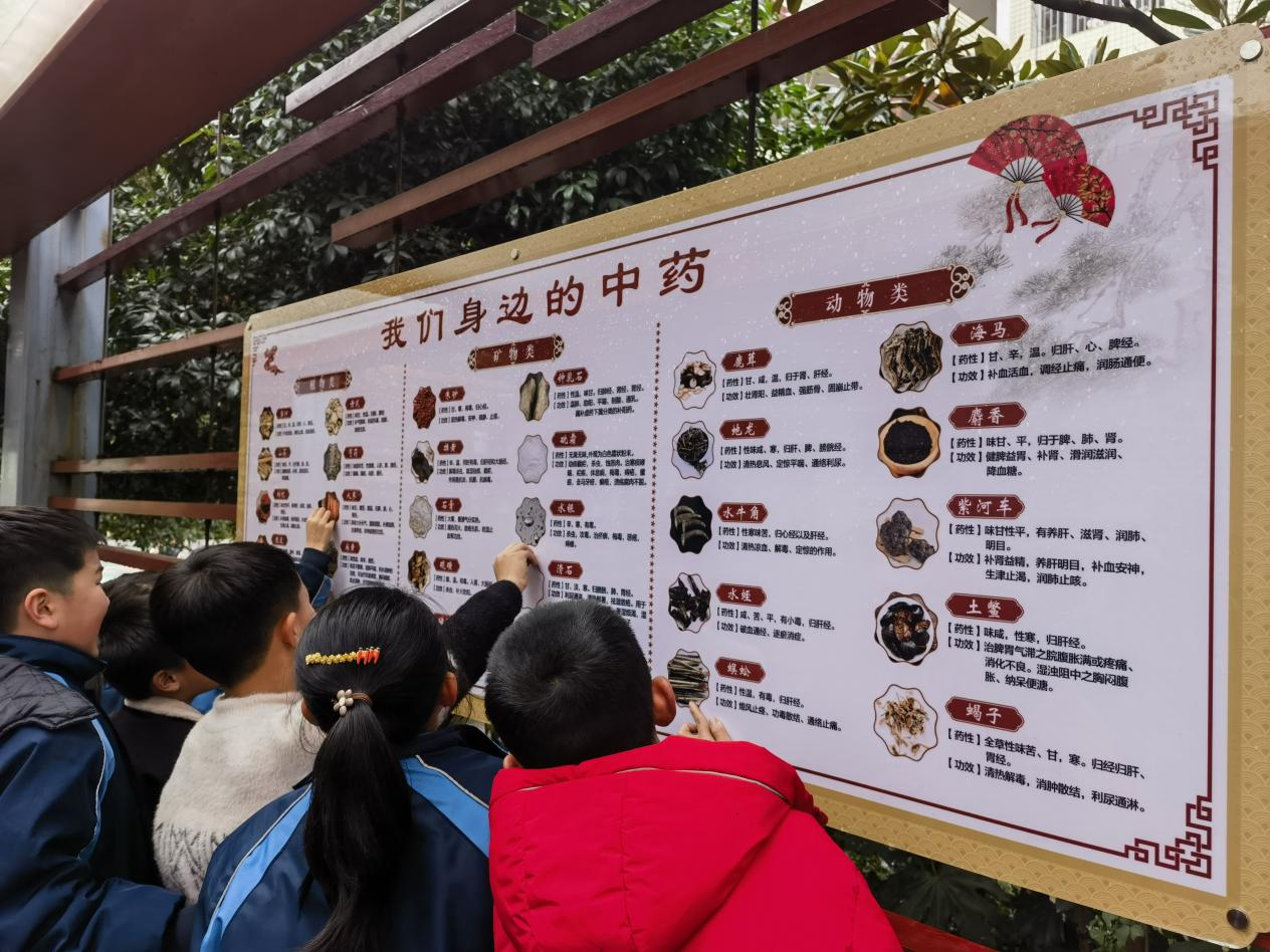 城區(qū)二小積極開(kāi)展“中醫(yī)藥文化進(jìn)校園”系列活動(dòng)