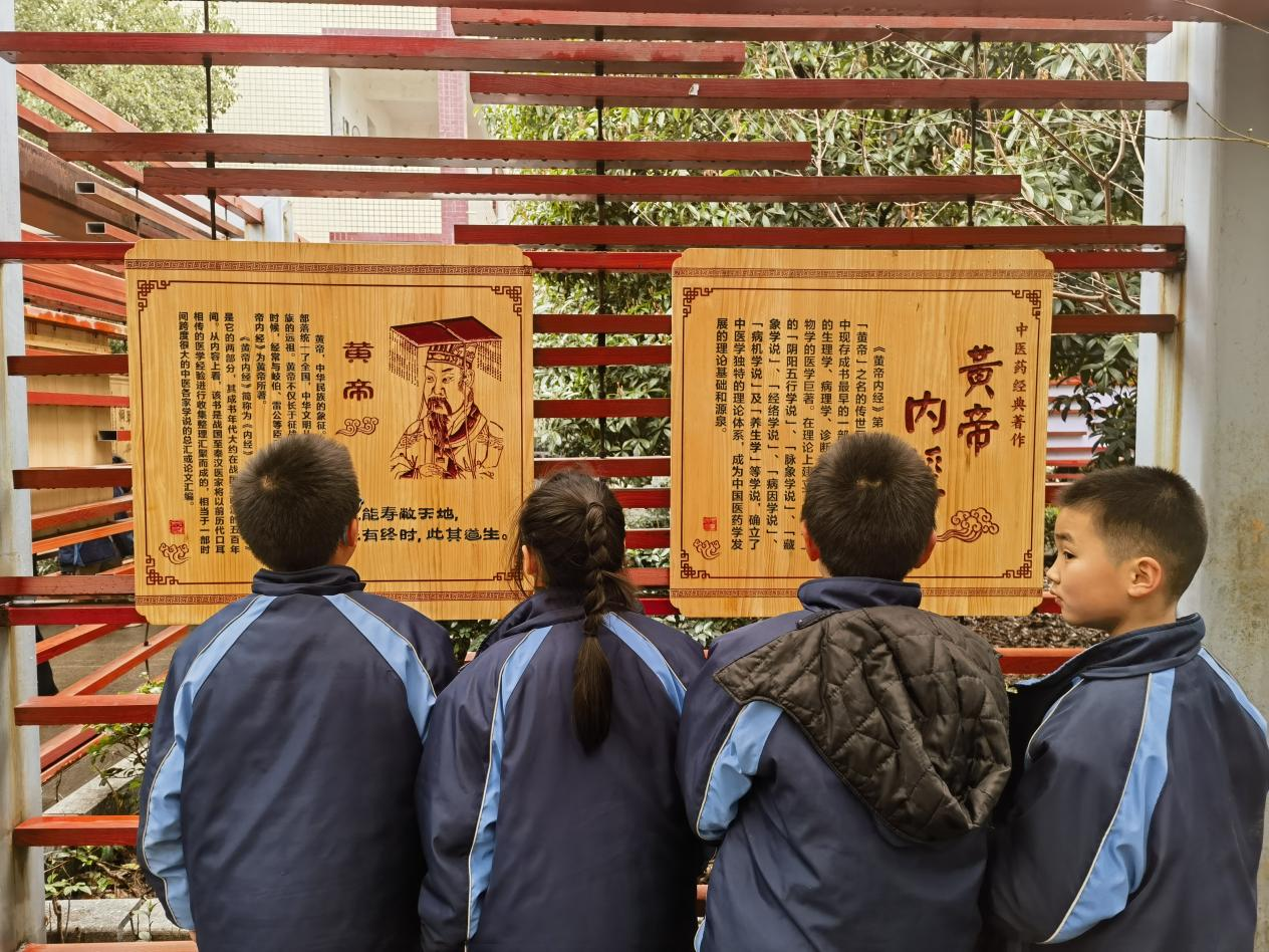 城區(qū)二小積極開(kāi)展“中醫(yī)藥文化進(jìn)校園”系列活動(dòng)