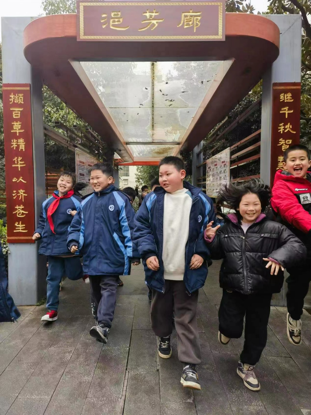 城區(qū)二小積極開(kāi)展“中醫(yī)藥文化進(jìn)校園”系列活動(dòng)