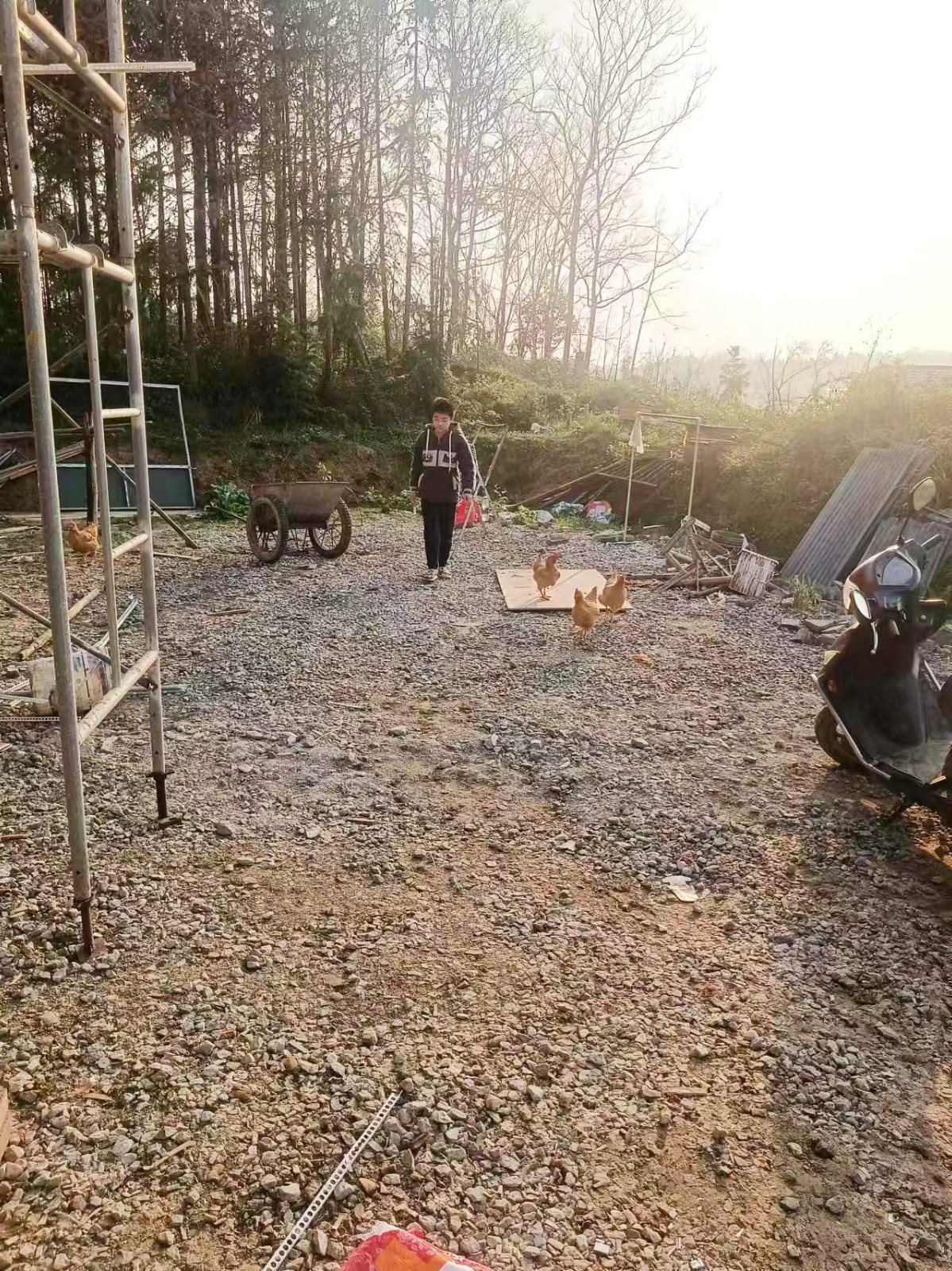 “好家風。好傳承”主題活動，