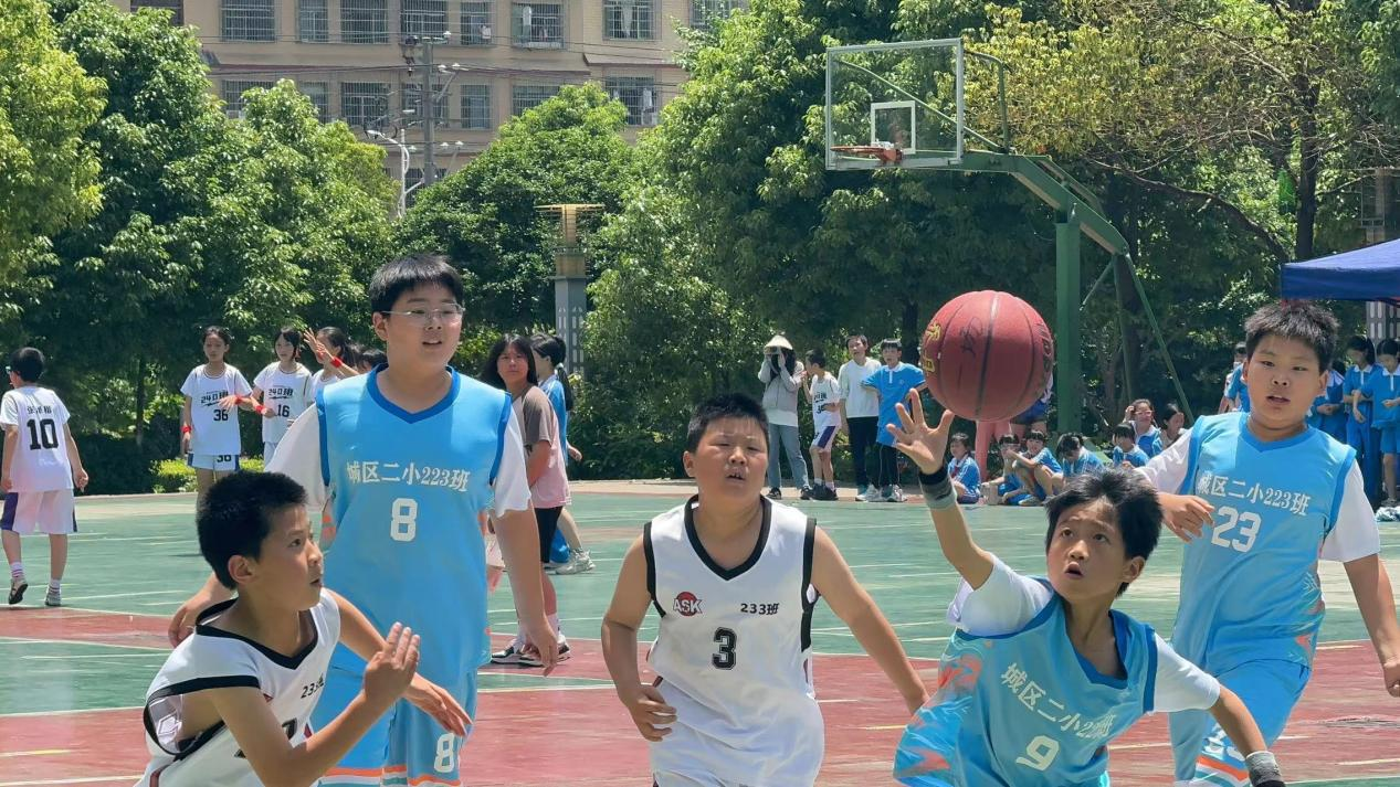 城區(qū)二小體育節(jié)：多彩活動，點(diǎn)燃成長激情