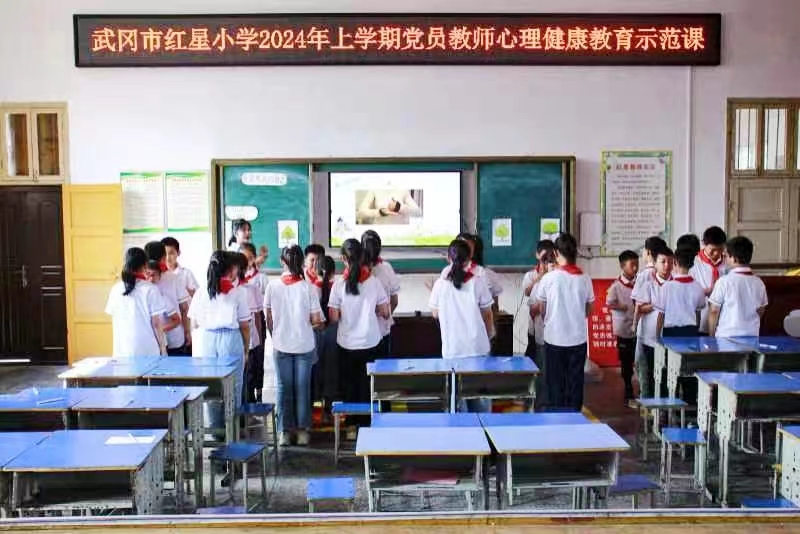 紅星小學開展心理健康課題組公開課