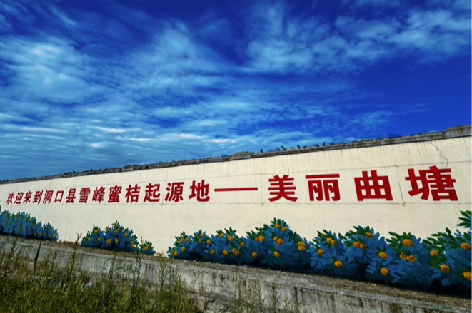 雪峰蜜桔園的自然農(nóng)業(yè)探索之旅