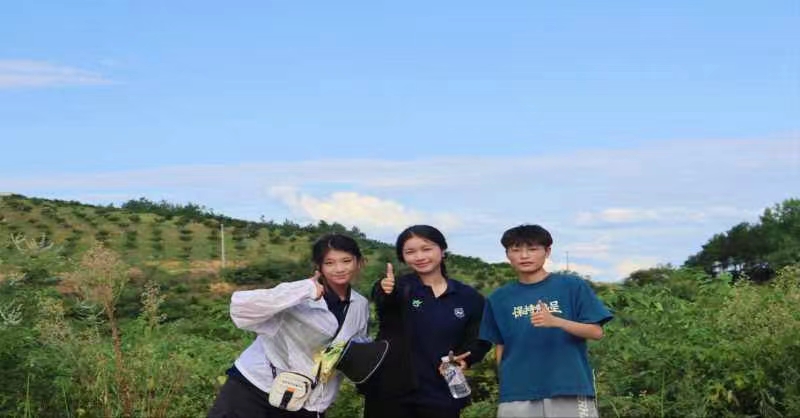 雪峰蜜桔園的自然農(nóng)業(yè)探索之旅