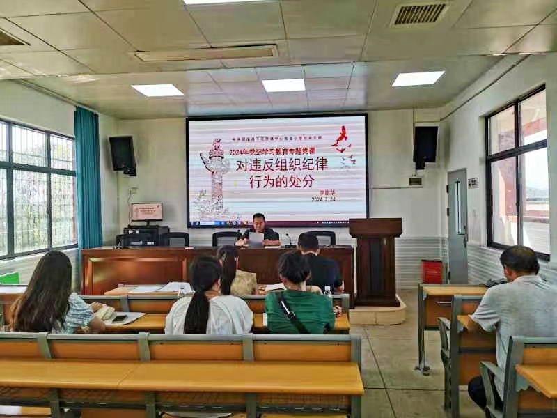 下花橋鎮(zhèn)中心完全小學(xué)黨支部開展“學(xué)紀(jì) 知紀(jì) 明紀(jì) 守紀(jì)”主題黨日活動