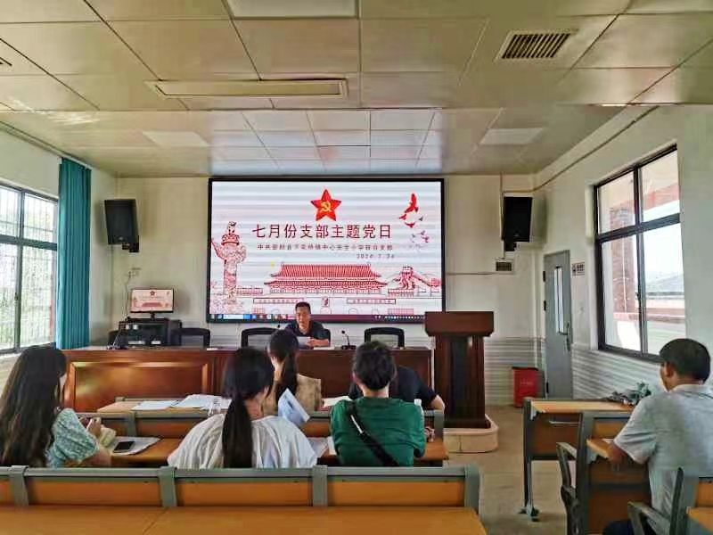 下花橋鎮(zhèn)中心完全小學(xué)黨支部開展“學(xué)紀(jì) 知紀(jì) 明紀(jì) 守紀(jì)”主題黨日活動