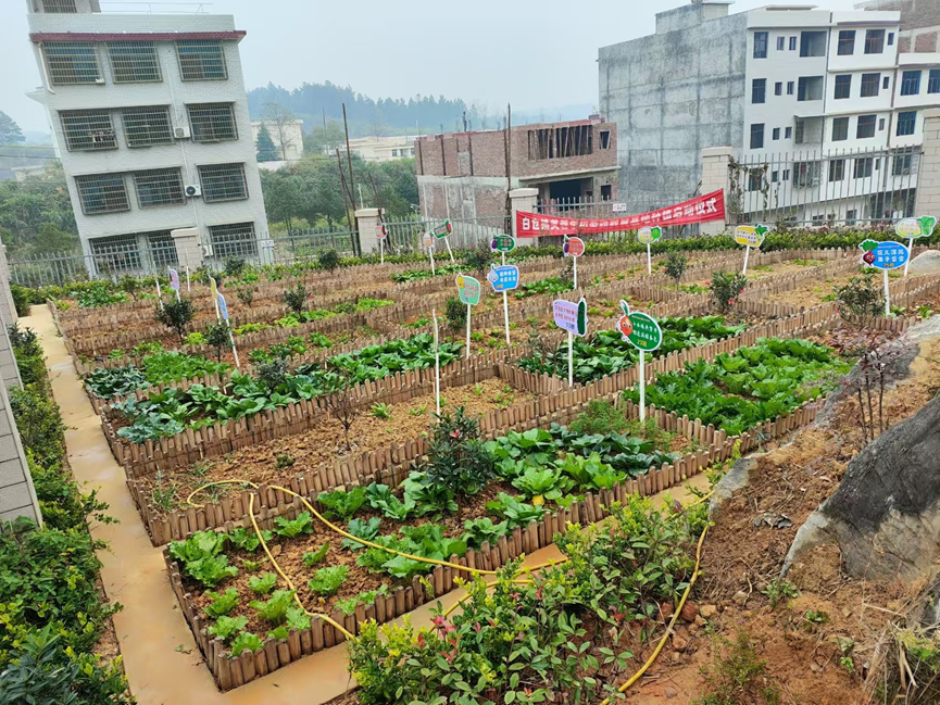 “勞”以強(qiáng)體 “動(dòng)”以潤(rùn)心