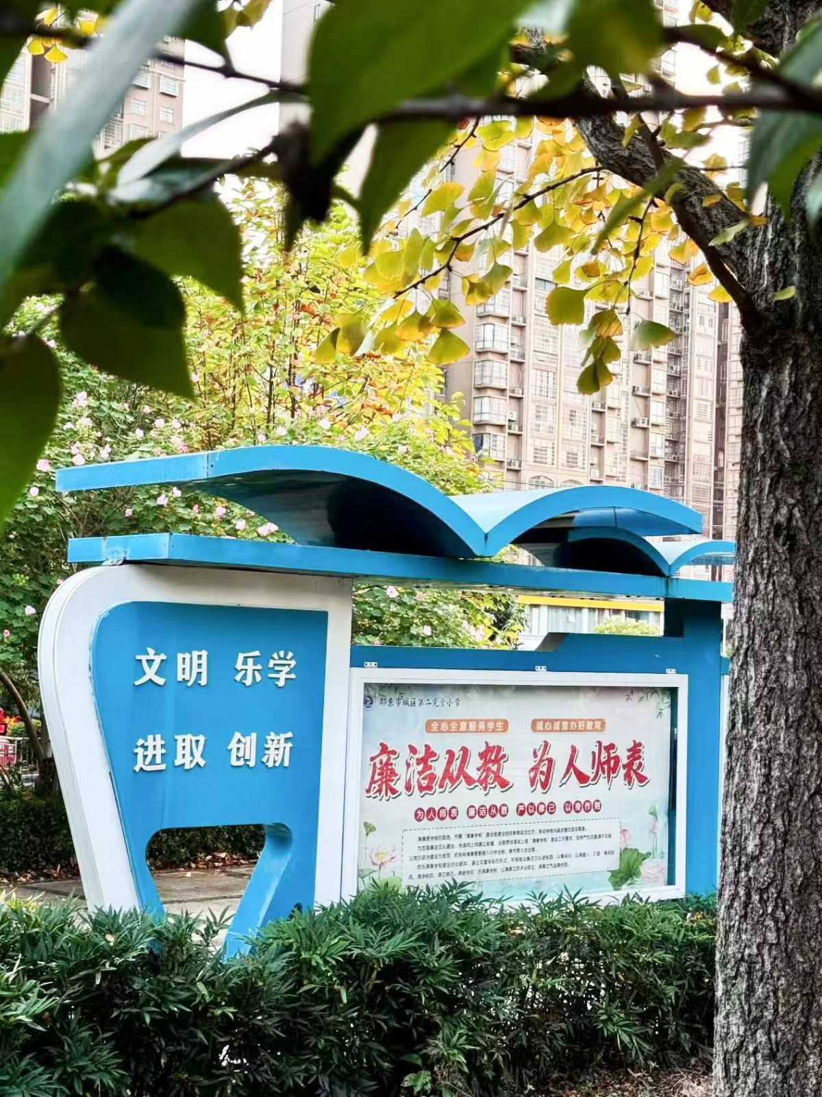 城區(qū)二小舉行“清廉”主題手機(jī)攝影比賽