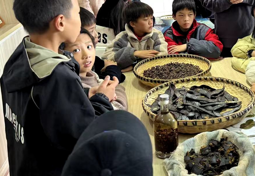 河伯中學(xué)：探索多彩大自然，科學(xué)之光閃耀校園