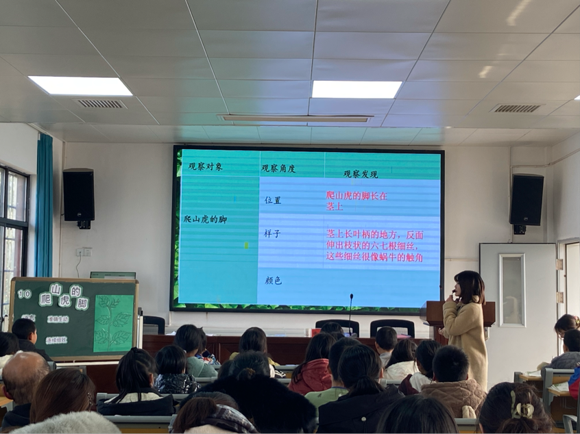 教研共進行志遠，回首足跡展未來