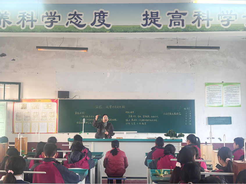 探索葉片奧秘，生物課堂展風(fēng)采