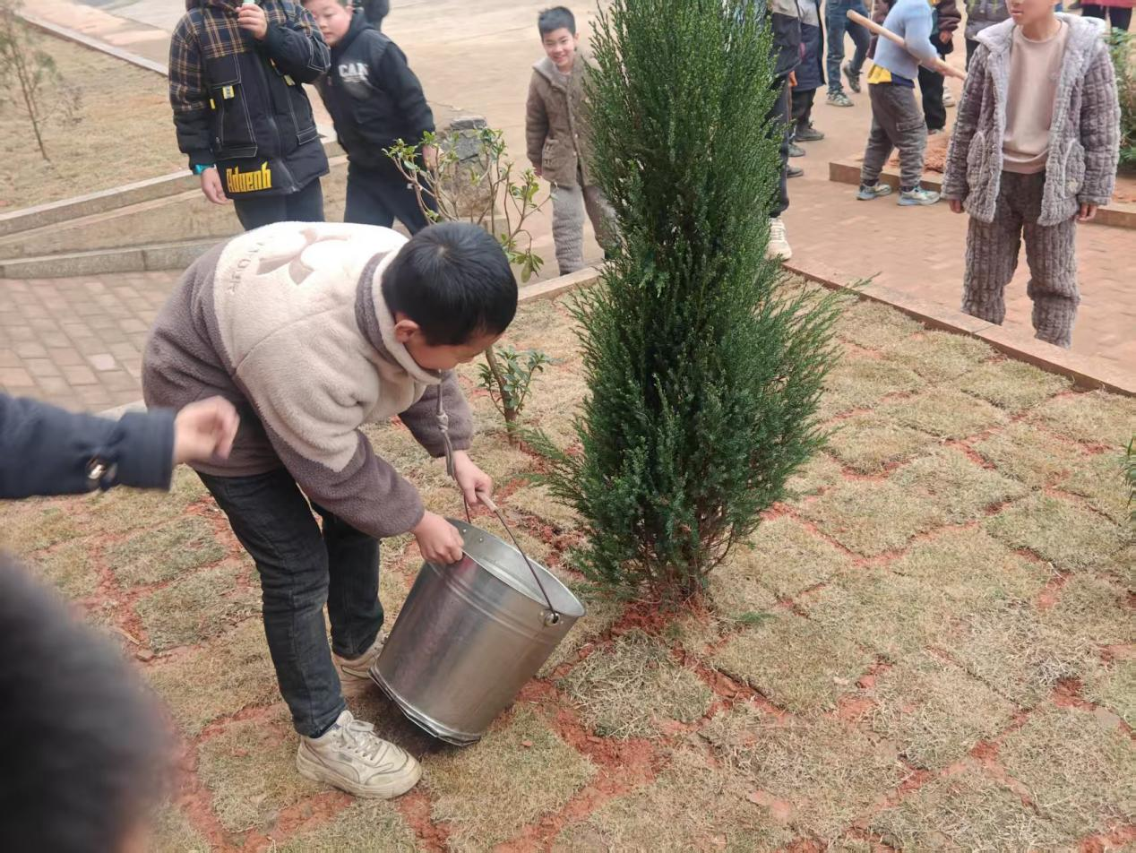“共植共青林，同筑青春夢(mèng)”學(xué)雷鋒植樹實(shí)踐
