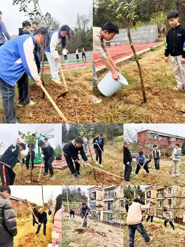 ?      蔡橋中學(xué)開展“學(xué)雷鋒·植樹護(hù)綠”活動