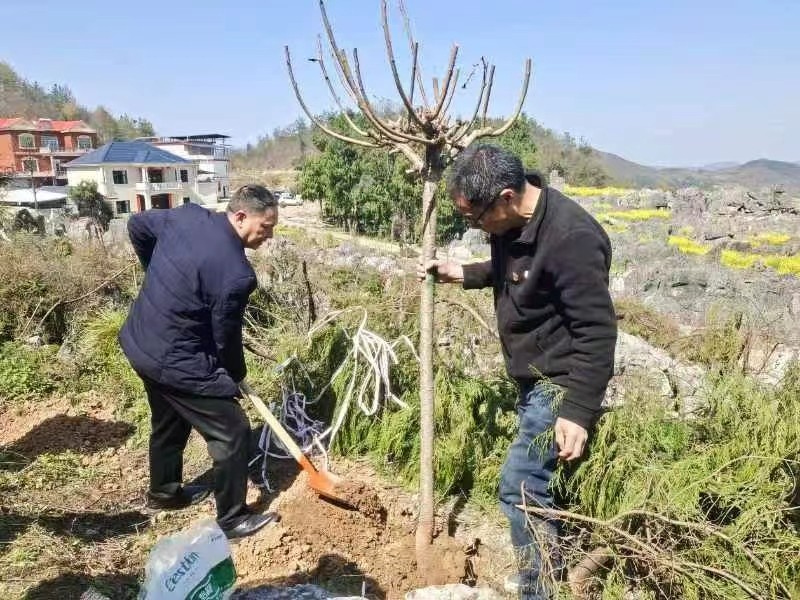 春風(fēng)送暖黨旗紅，植樹添綠正當(dāng)時(shí)