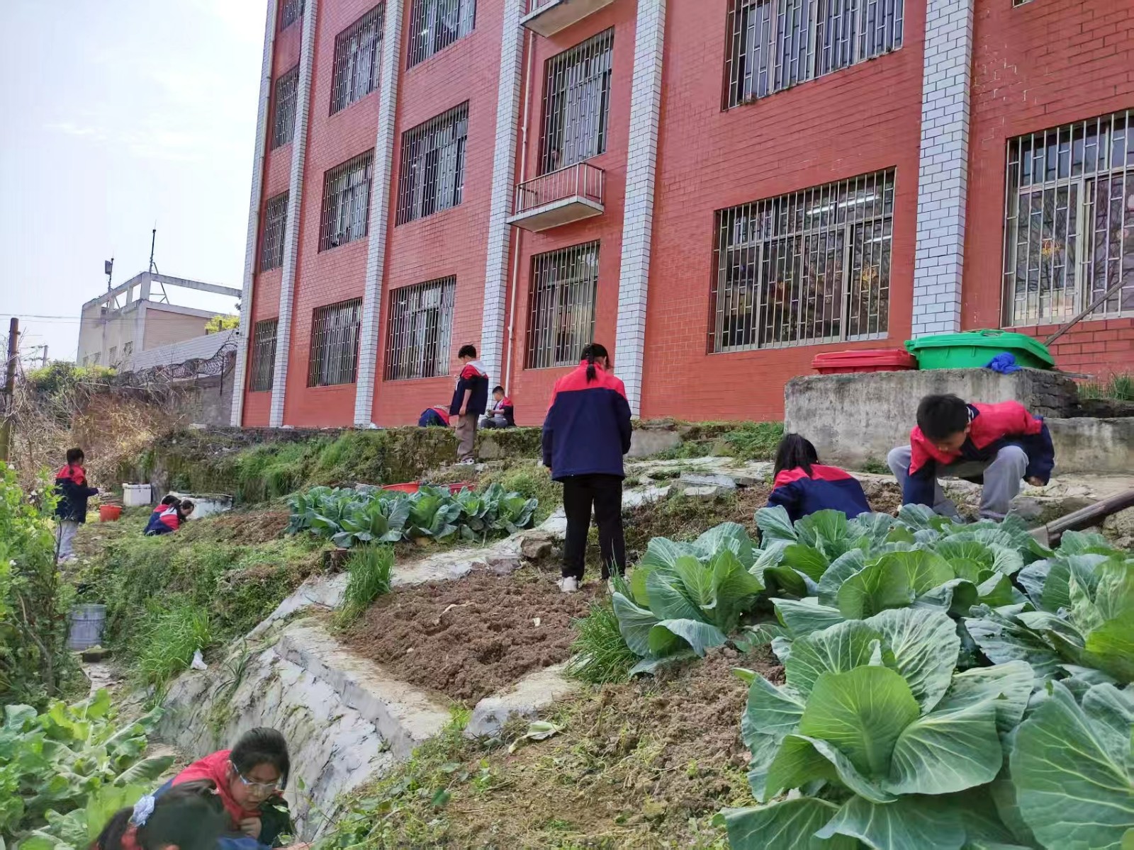 勞育德馨，凈繪春暉