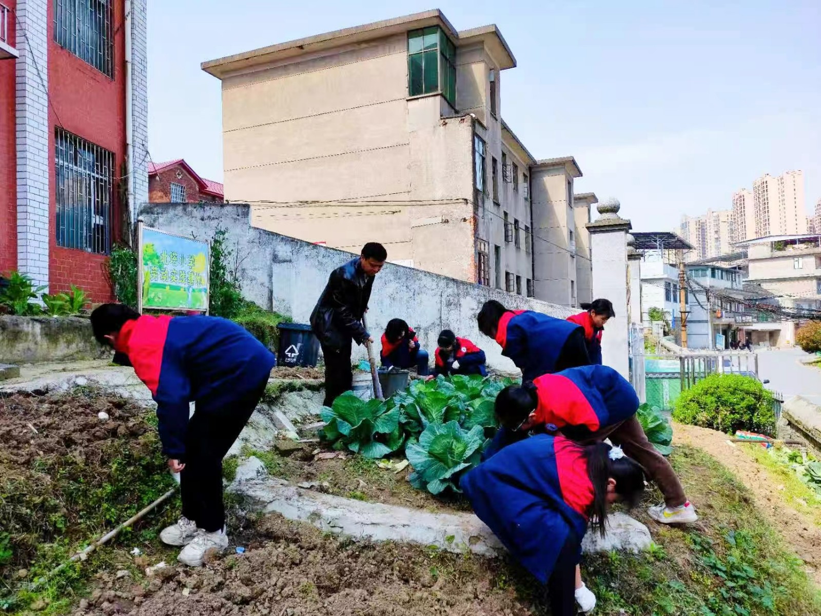 勞育德馨，凈繪春暉