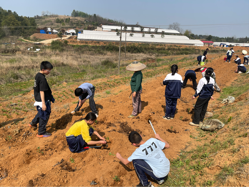 攜手共筑勞動(dòng)夢(mèng)，實(shí)踐砥礪青春行