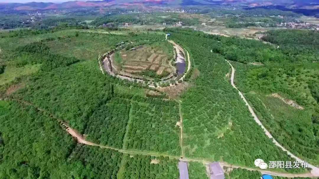 從特色單品到產(chǎn)業(yè)集群：邵陽(yáng)縣“福林香柚”的鄉(xiāng)村振興破局之路