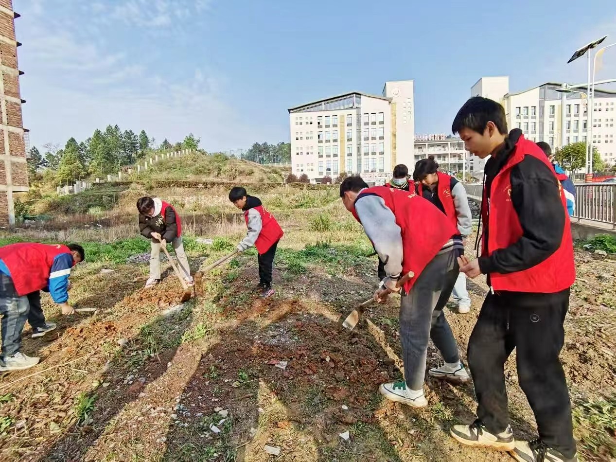 白倉鎮(zhèn)芙蓉學(xué)校 開展“繽紛大麗花 勞動繪家園”志愿種植活動 學(xué)生巧手扮靚校門口