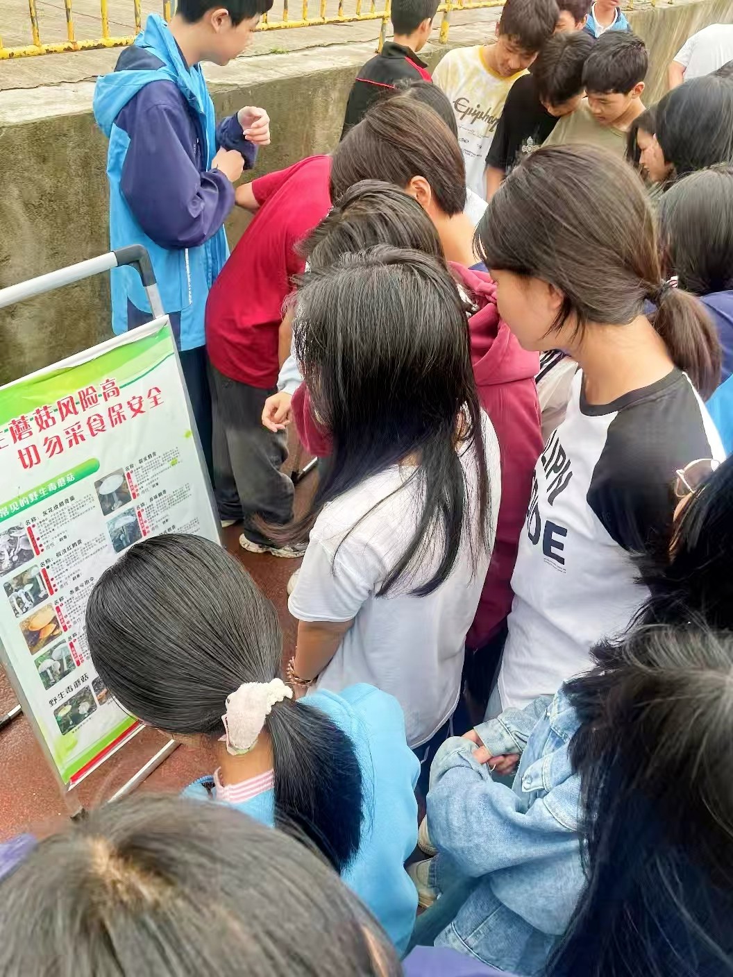 筑牢校園安全防線 守護學(xué)生健康成長