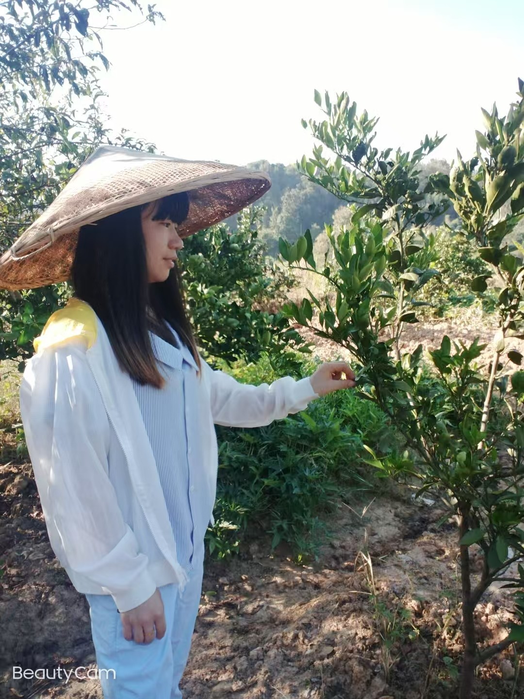 唐情：鄉(xiāng)村振興浪潮中的“領(lǐng)頭雁”