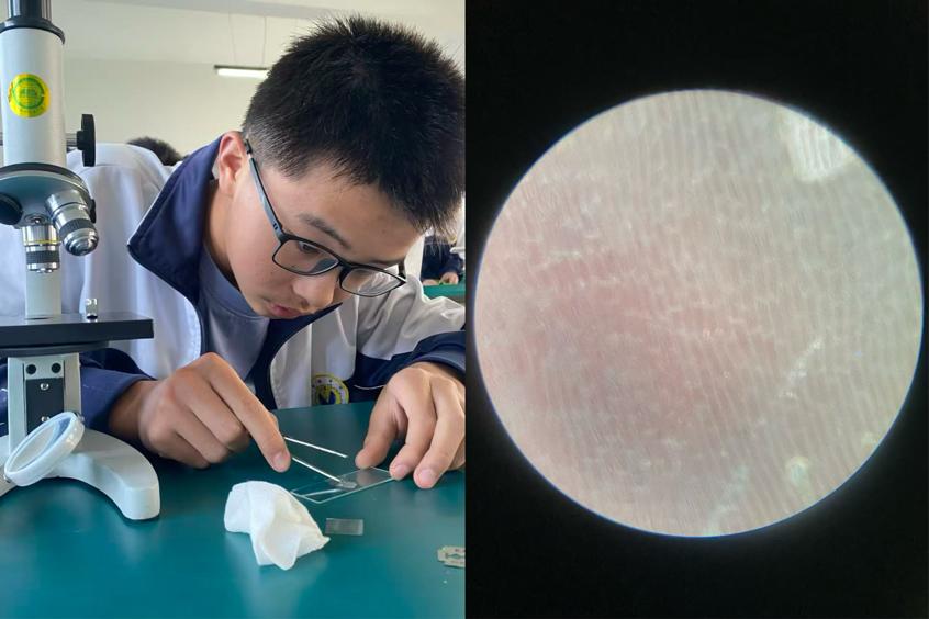 科學(xué)實踐展風(fēng)采  實驗操作促成長