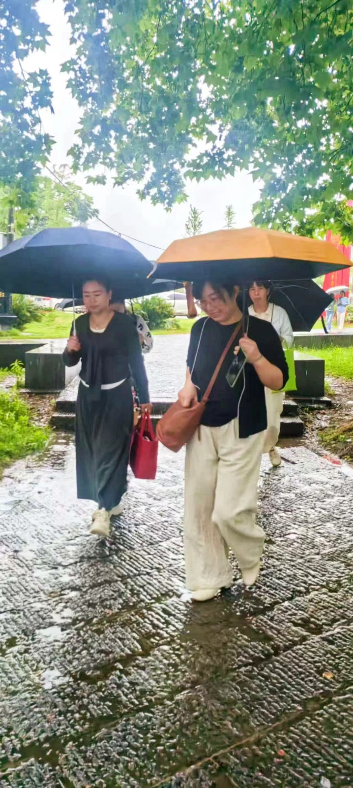 雨中的心靈之約：記一場(chǎng)風(fēng)雨無阻的心理健康培訓(xùn)