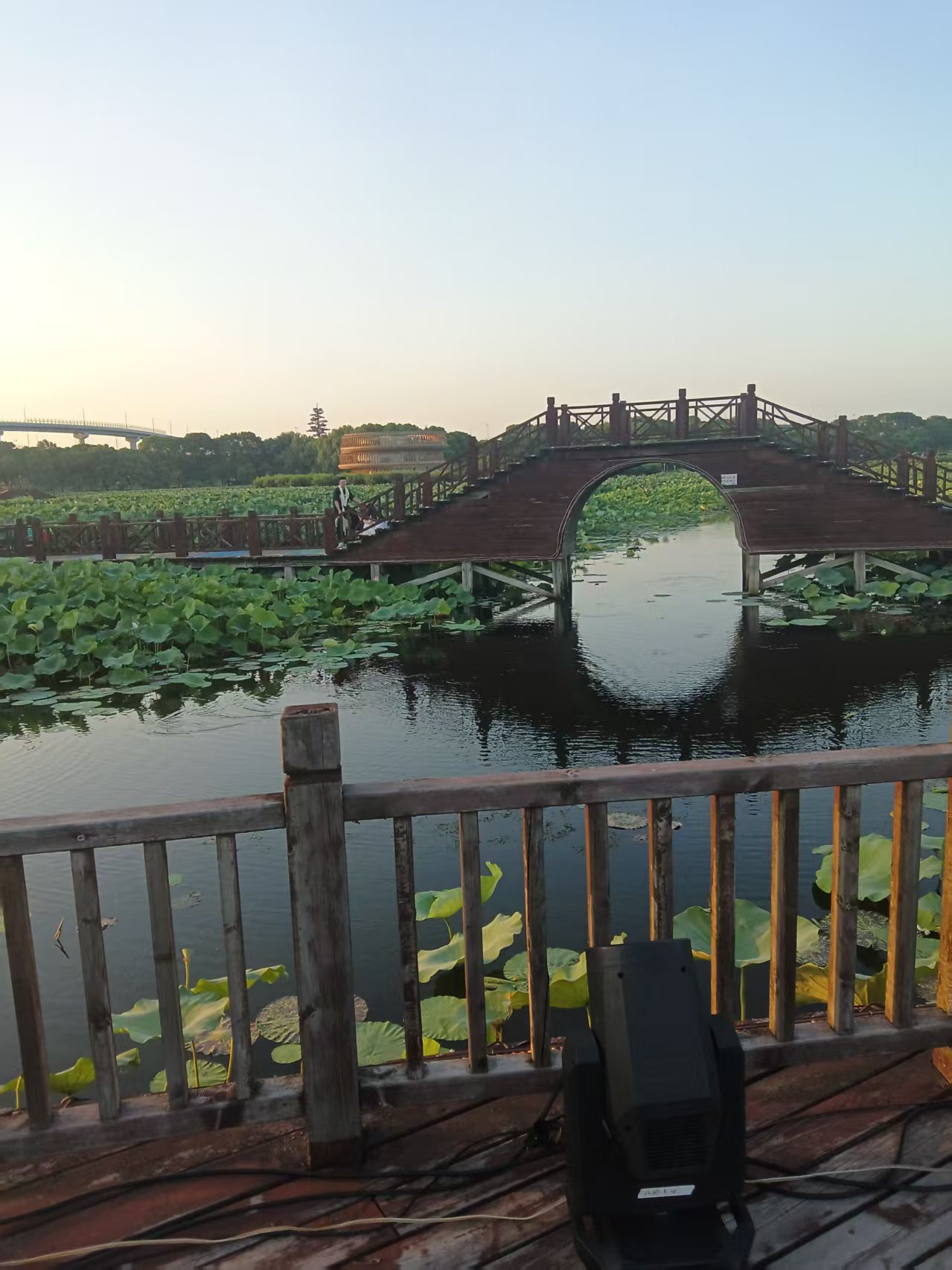 游蘇州荷塘月色