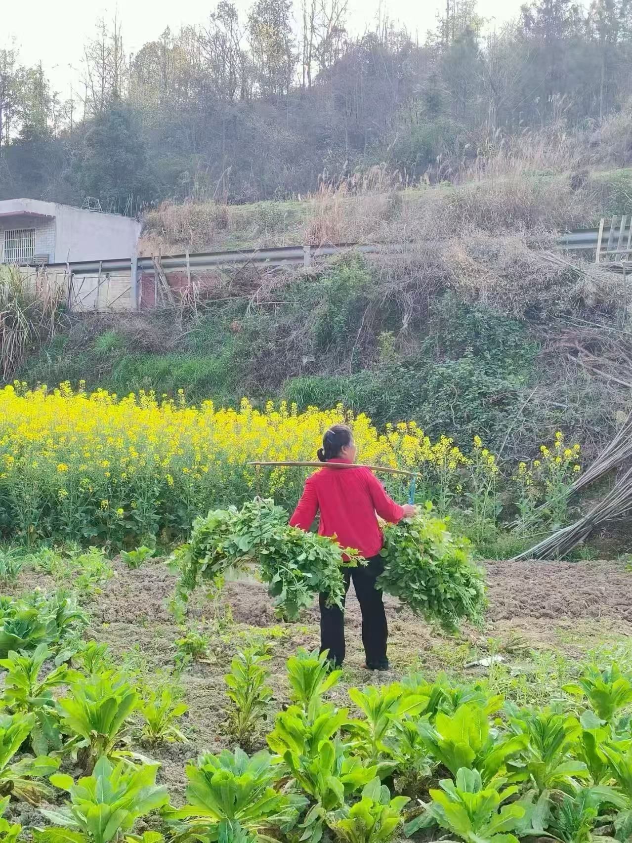 續(xù)書(shū)香，悟平凡，點(diǎn)青春
