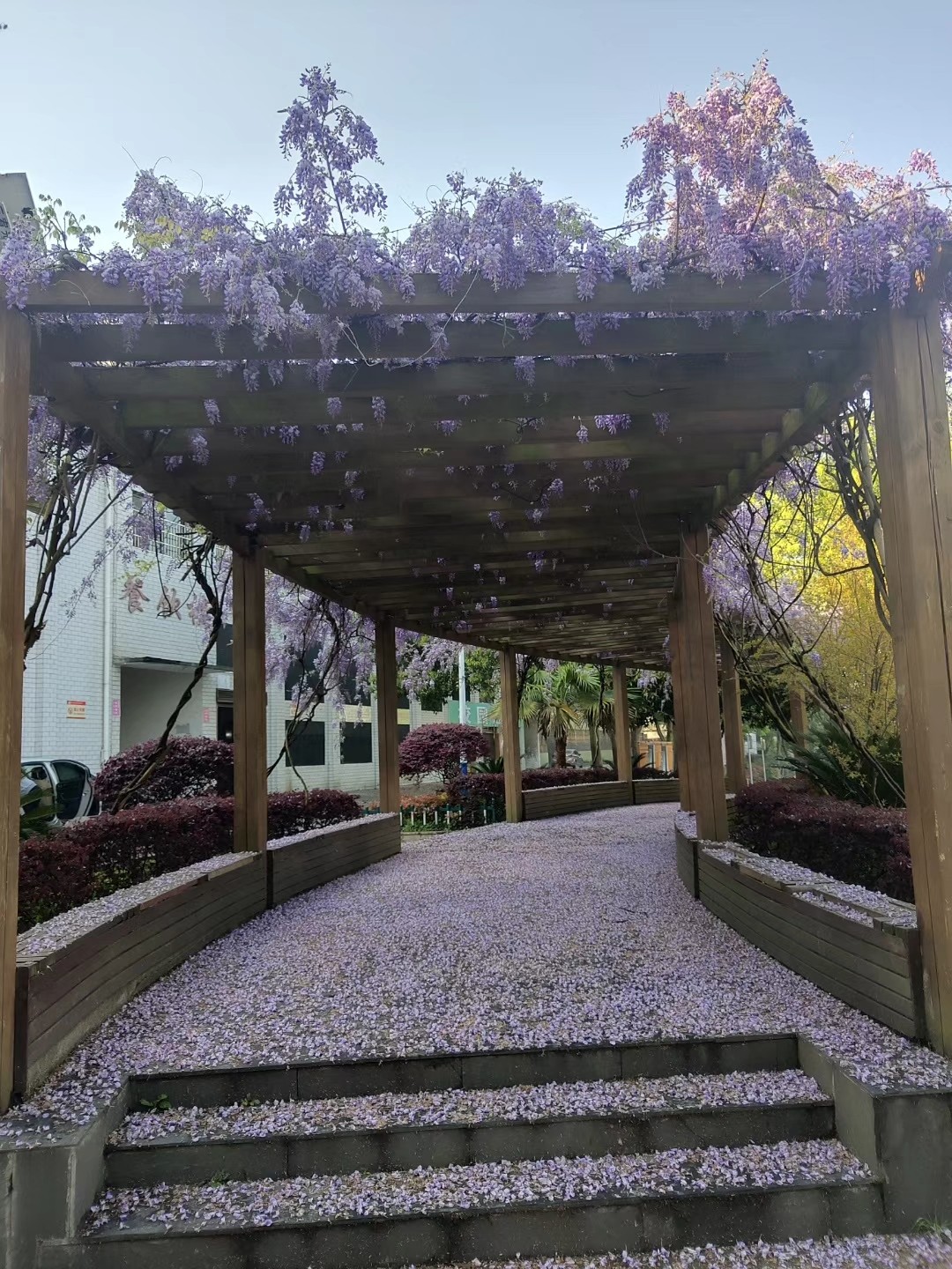 何妨落葉舞秋魂