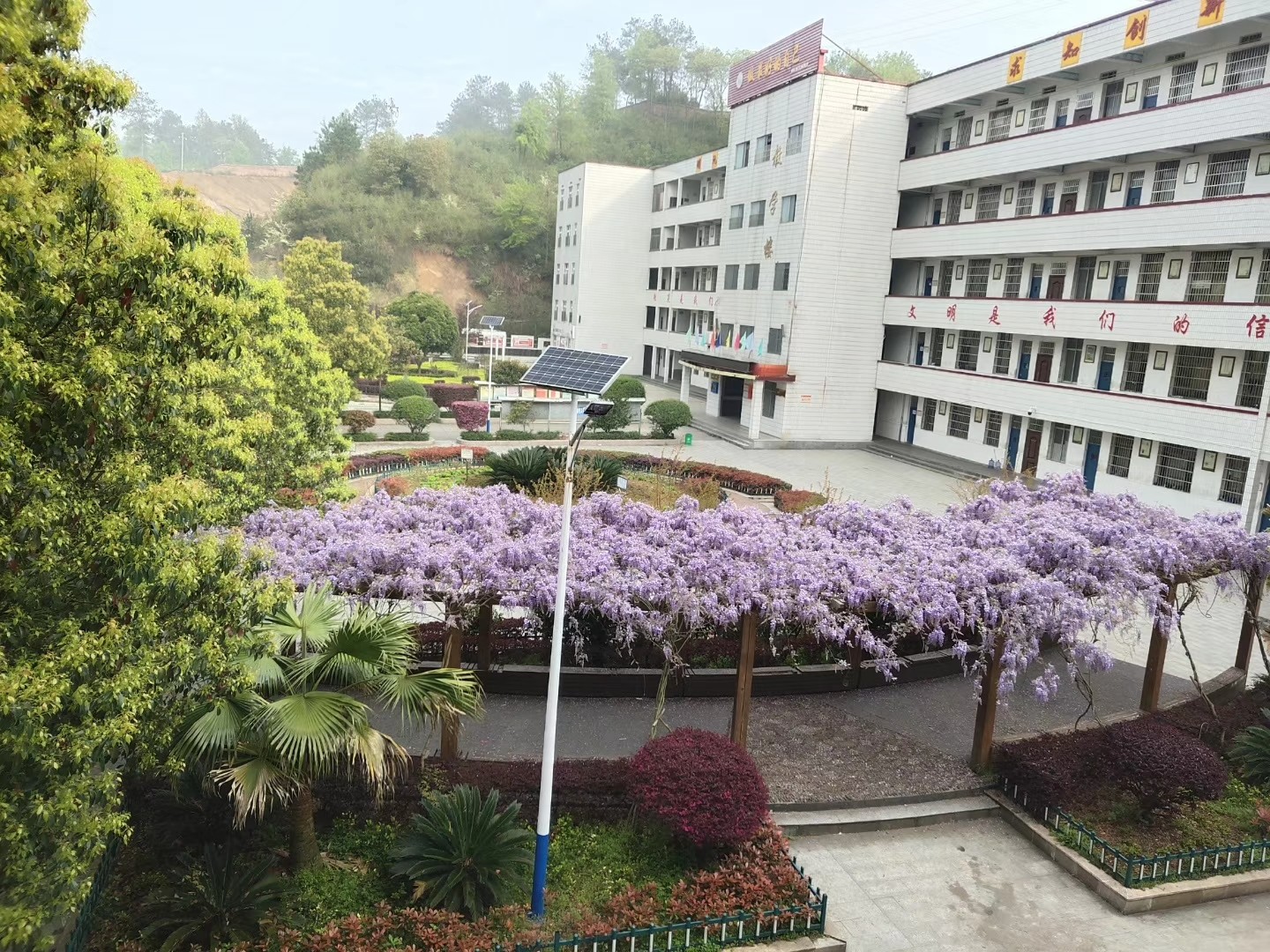 何妨落葉舞秋魂