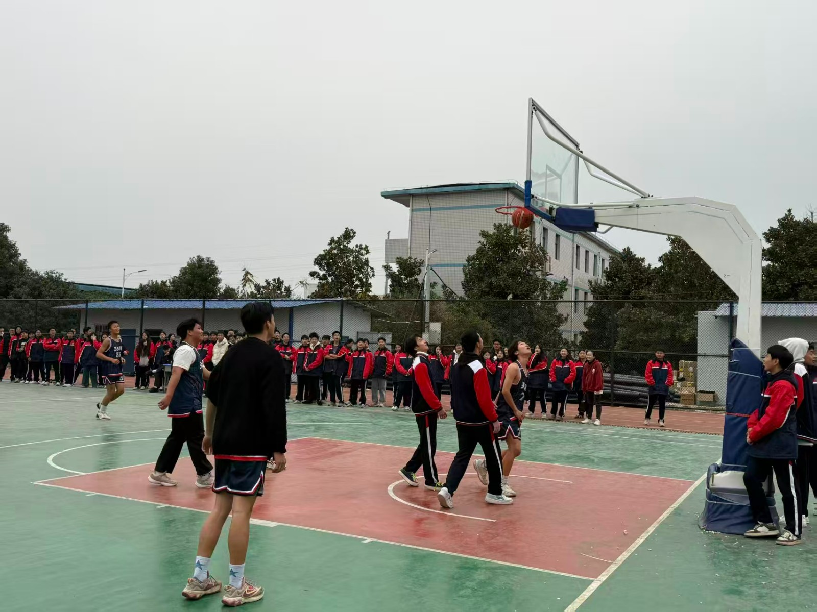 揮灑青春汗水，激揚運動激情