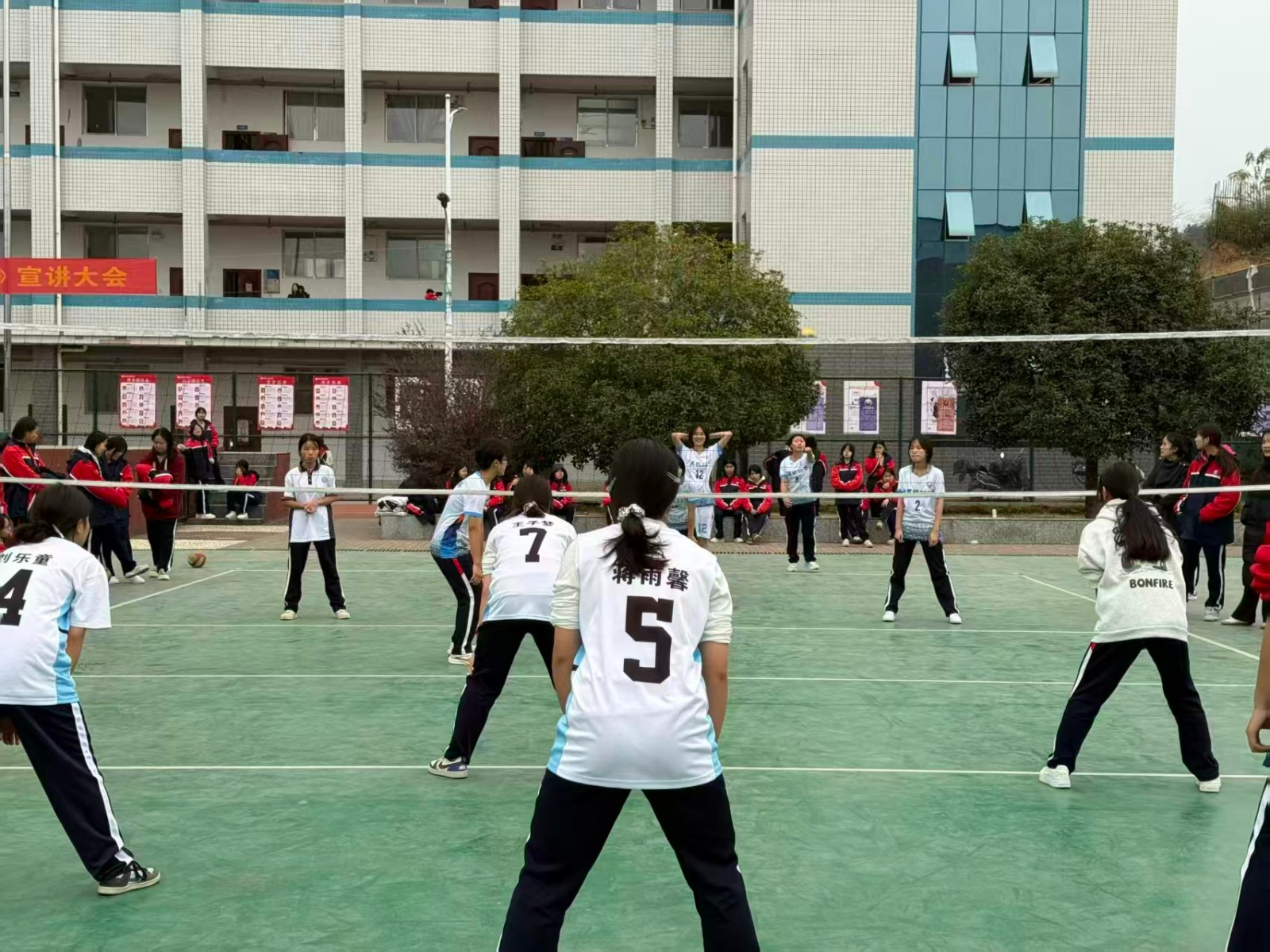 揮灑青春汗水，激揚運動激情